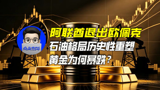 阿联酋退出欧佩克，石油格局历史性重塑，黄金为何暴跌？｜商业微史记