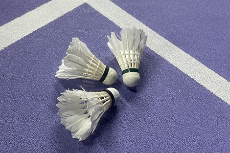 【深度】2.5亿参与者，羽毛球赛事为何赚钱这么难