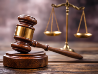 宇树科技赢了！最高法院认定其遭恶意诉讼