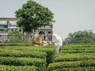 新酒店 | 在惠州茶山之间，体验一种“轻盈探索”的度假方式