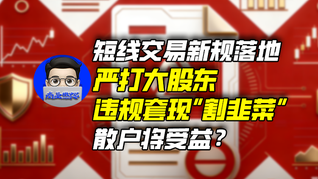 短线交易新规落地，严打大股东违规套现“割韭菜”，散户将受益？｜商业微史记
