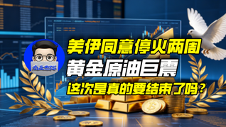 美伊同意停火两周，黄金原油巨震，这次是真的要结束了吗？｜商业微史记